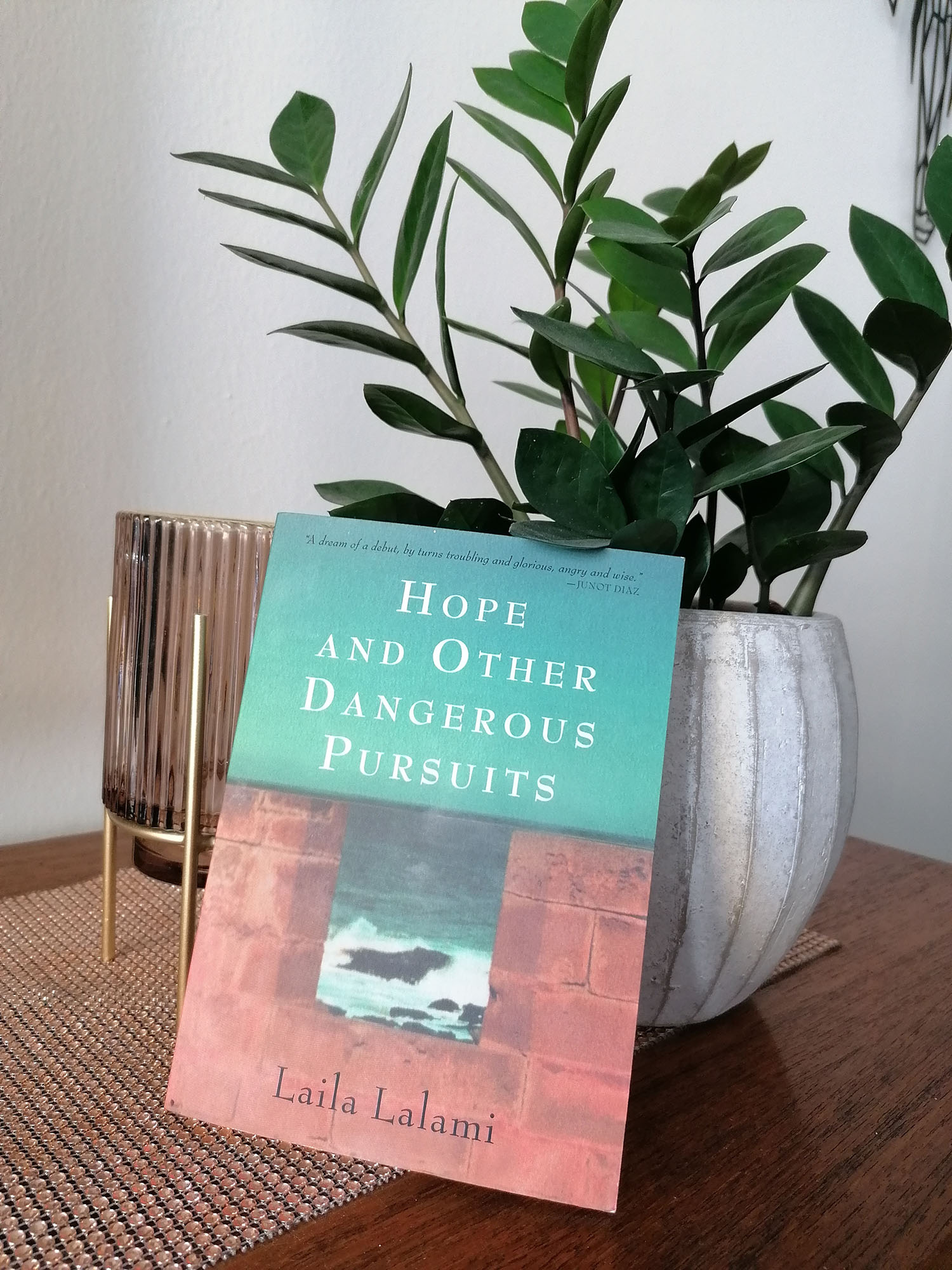 "Hope and Other Dangerous Pursuits" by Laila Lalami